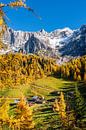 Idyllische Almen aan de voet van de Dachstein van Coen Weesjes thumbnail