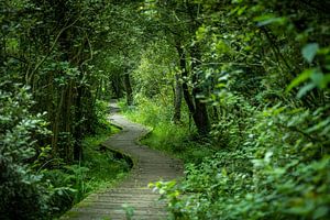 Die Moerputten, hier wandern Sie inmitten der Natur, umgeben von Vogelgezwitscher, plätscherndem Wasser und weiten Ausblicken.
