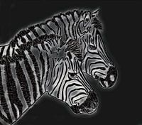 Zebra's drawing edited