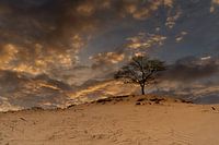 Bald Dunes sunset