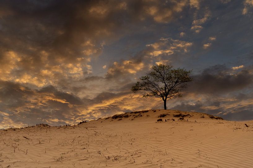 Kale Duinen bij zonsondergang van Ton Valk