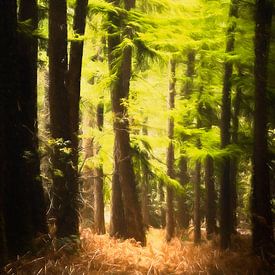 Forêt de pins verts manipulée numériquement en peinture sur Michel Seelen