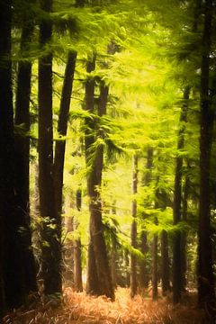 Green pine forest digitally manipulated into painting