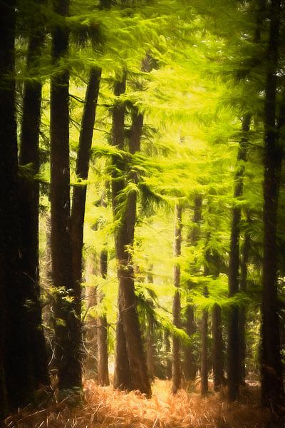 Green pine forest digitally manipulated into painting by Michel Seelen