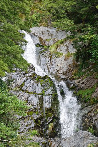 Close-up of Fantail Falls