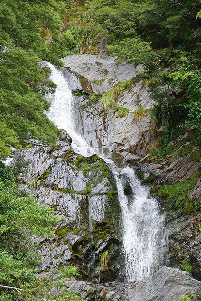 Close-up of Fantail Falls by Frank's Awesome Travels
