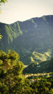 Jungle verte avec chutes d'eau