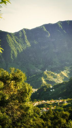 Jungle verte avec chutes d'eau