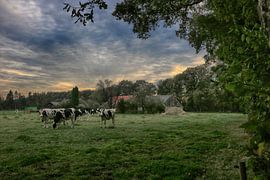 evening falls over the farmland by Henk Mannes