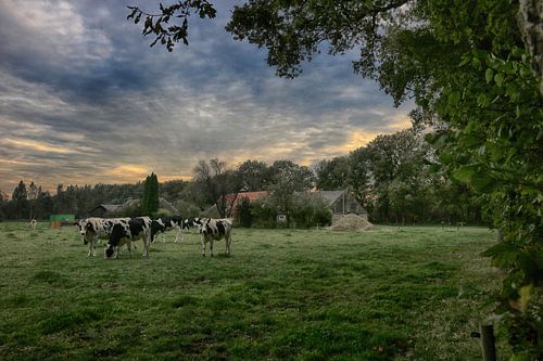 le soir tombe sur les terres agricoles
