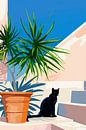 Schwarze Katze im Sonnenlicht von Poster Art Shop Miniaturansicht