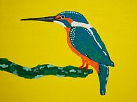 Eisvogel