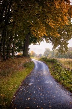 Herfst in Tulliemet van Pascal Raymond Dorland