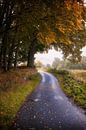 Herfst in Tulliemet van Pascal Raymond Dorland thumbnail