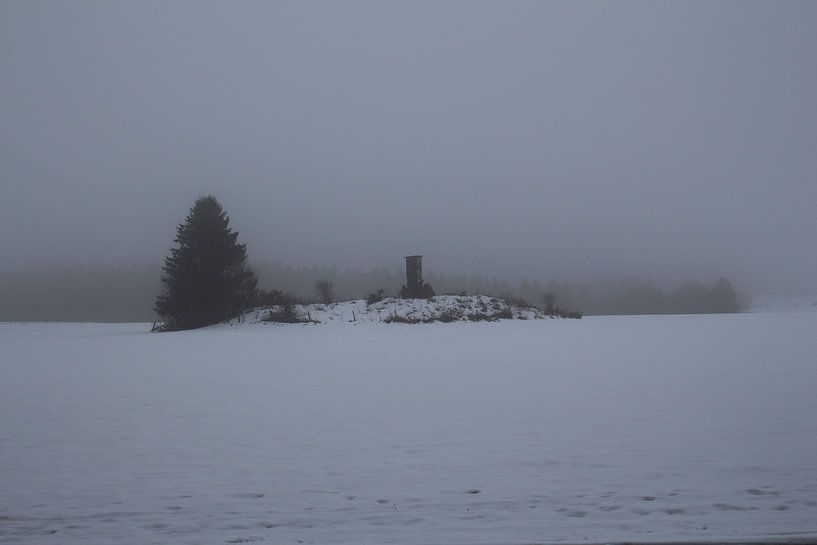Winternebel von Lars Detges