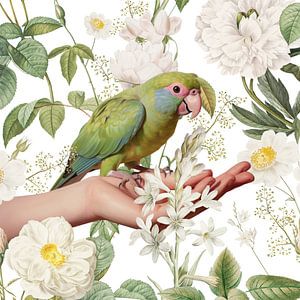 the Spring Bird I