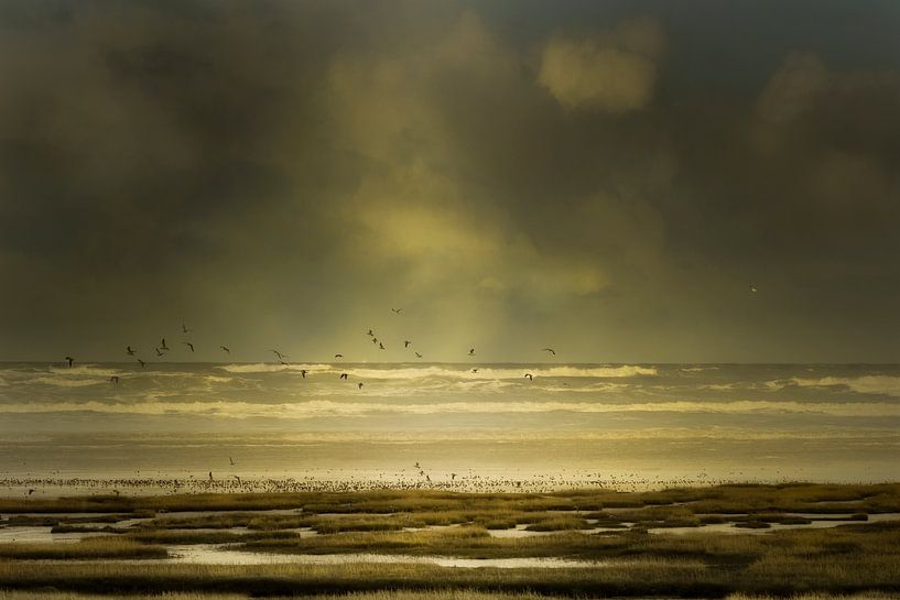 Zee, wadden en wolken in stijl van oude meesters - Terschelling wad van Marianne van der Zee