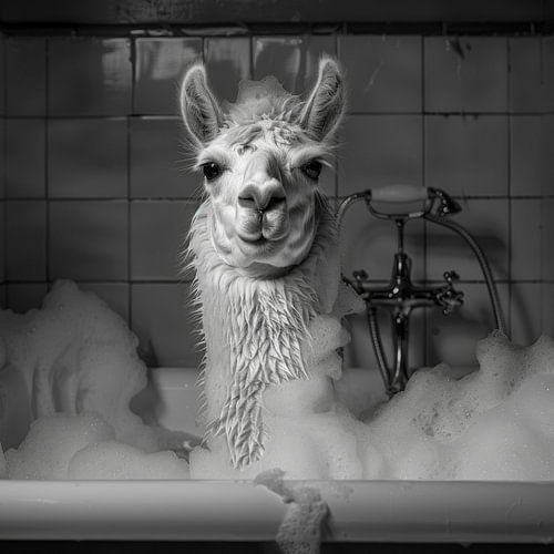 Un lama détendu dans la salle de bains - une œuvre d'art unique pour les toilettes sur Poster Art Shop