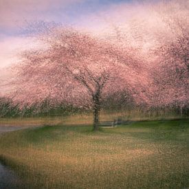 Impression de Fleurs sur Esther van Overbeek