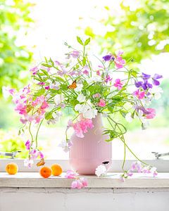 Stilleben 'lathyrus