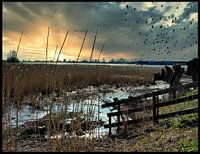 zonsopgang aan de rivier; de wereld ontwaakt