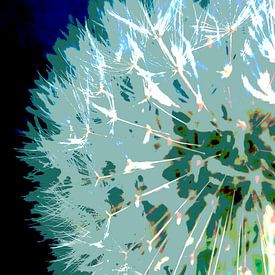 abstract dandelion by Lizette de Jonge
