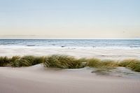 Dunes, beach and sea