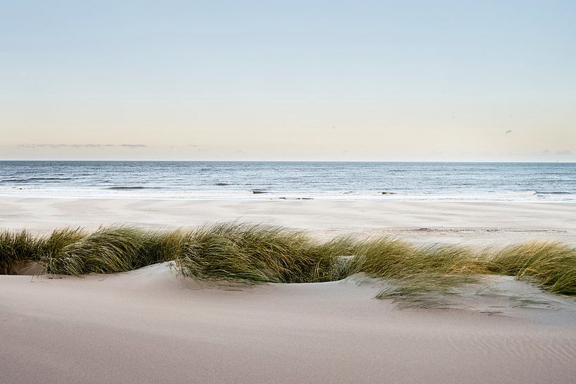 Dunes, beach and sea by Sjoerd van der Hucht