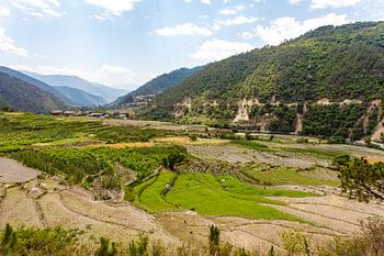 Blick auf ein Tal mit Reisfeldern in einer bergigen Landschaft in Zentralbhutan, Asien