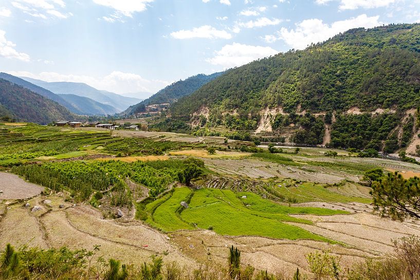 Blick auf ein Tal mit Reisfeldern in einer bergigen Landschaft in Zentralbhutan, Asien von WorldWidePhotoWeb
