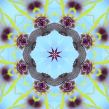 Mandala in sanften Farben von Steffi Hommel