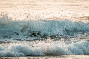 Vague d'écume dans la lumière dorée