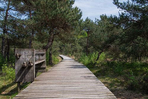 Twickeler Strandpromenade