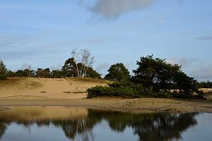 Natur auf dem Hulshorster Sand