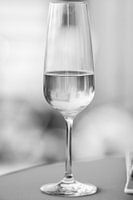 champagne