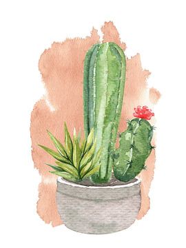 Cactussen in pot van Printed Artings