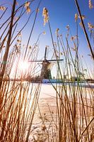 De Hollandse windmolens van kinderdijk 