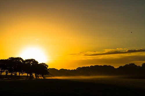 Zonsopkomst bij Leende