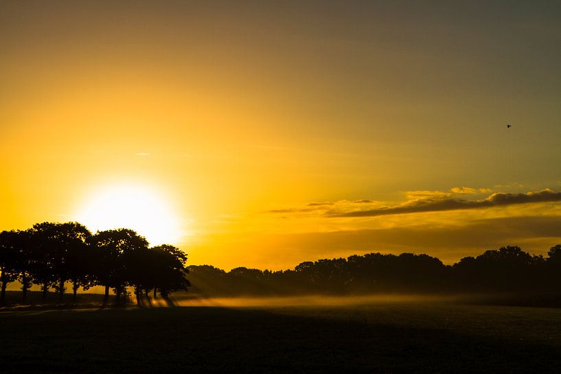 Zonsopkomst bij Leende par Hans van Kuijk
