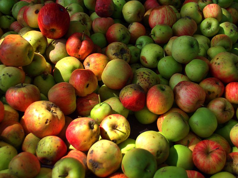 Gevallen fruit van Edgar Schermaul