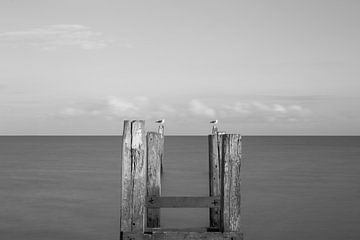 steiger (Terschelling) von Annemiek Gijsbertsen