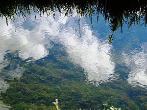 Urban Reflections 116