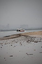 Monding van de Seine von Tejo Moerings