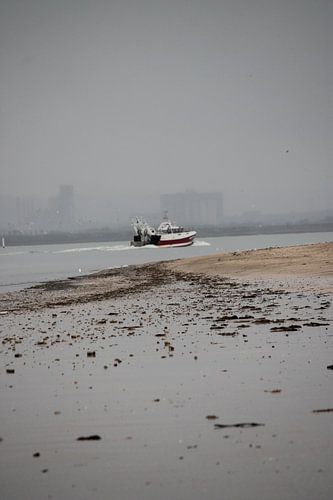 Monding van de Seine