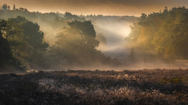Ambiance d'automne sur Bram de Jong
