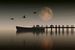 Landschaft – Boot auf einem See mit Gänsen, die vorbei fliegen von Jan Keteleer
