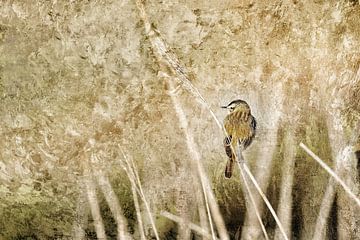 Meadow bird van Gitta Reiszner