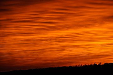 Sonnenuntergang mit Saharastaub im Oberbergischen