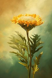 Sonnenaufgang Blüte von Blumen Studio