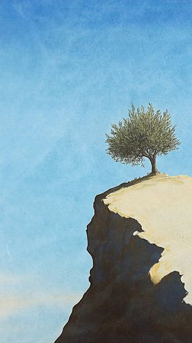 Olive tree on rock